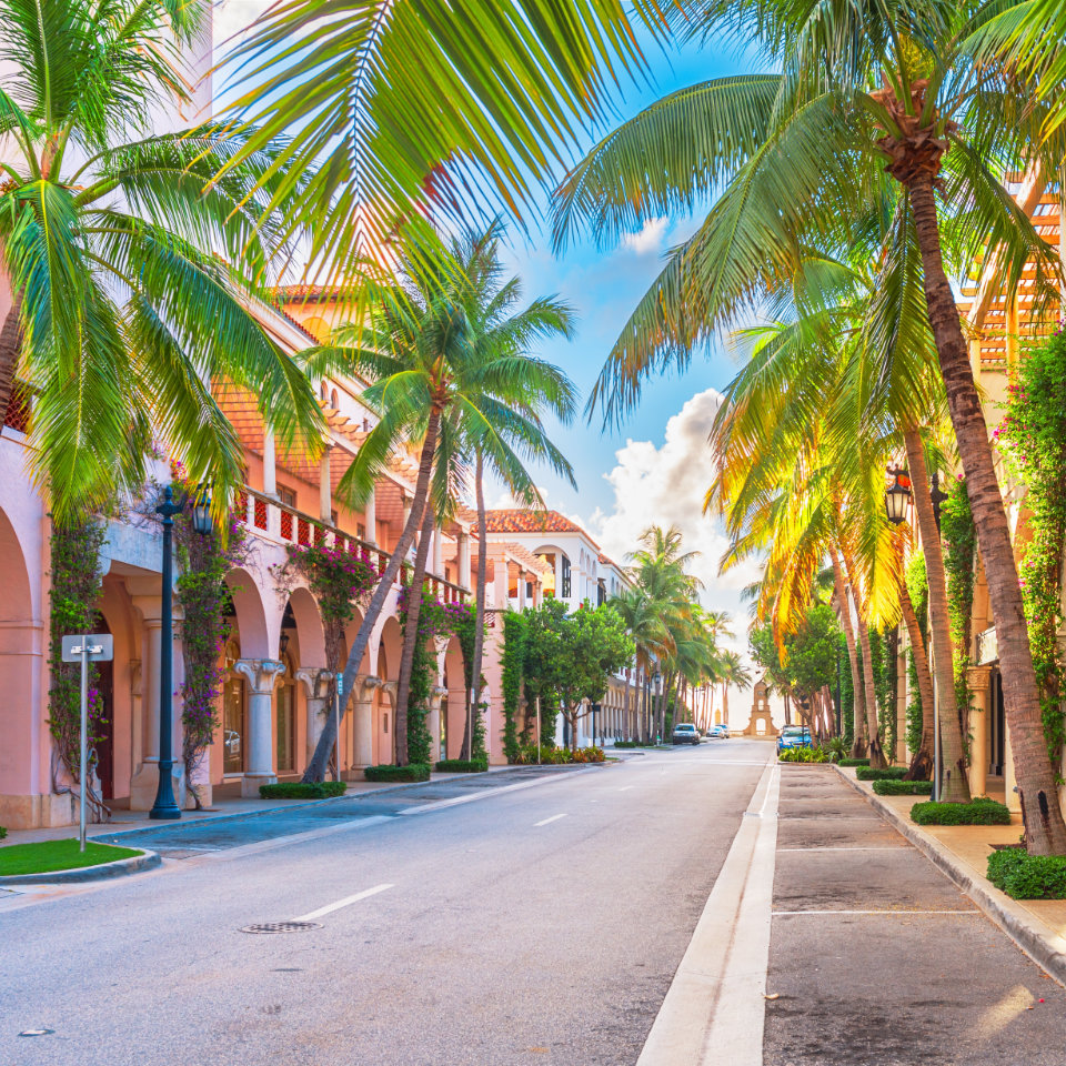 A sunny, palm tree-lined street bordered by upscale Mediterranean-style buildings with arches and balconies, under a blue sky with scattered clouds.